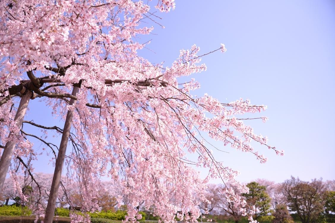 🎨 도야마현 수묵미술관(도야마켄스이보쿠비주쓰칸) 이미지 6